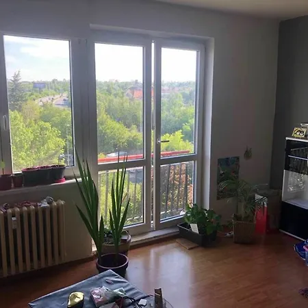 Apartment Shared Flat