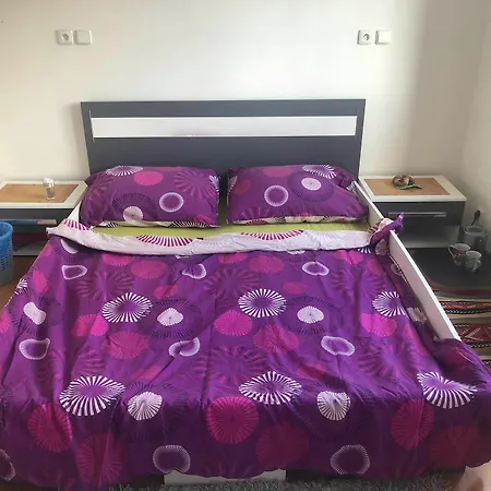 Shared Flat *